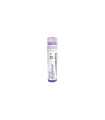 FERRUM PHOSPH BOI*30CH 80GR - pharmaluna
