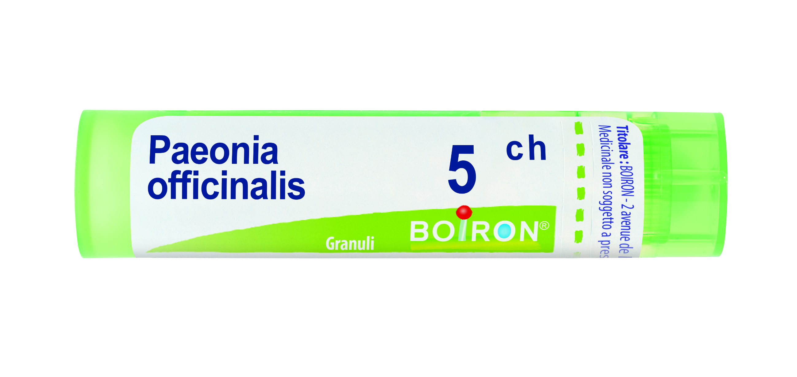 PAEONIA OFFICINALIS*5CH 80GR - pharmaluna