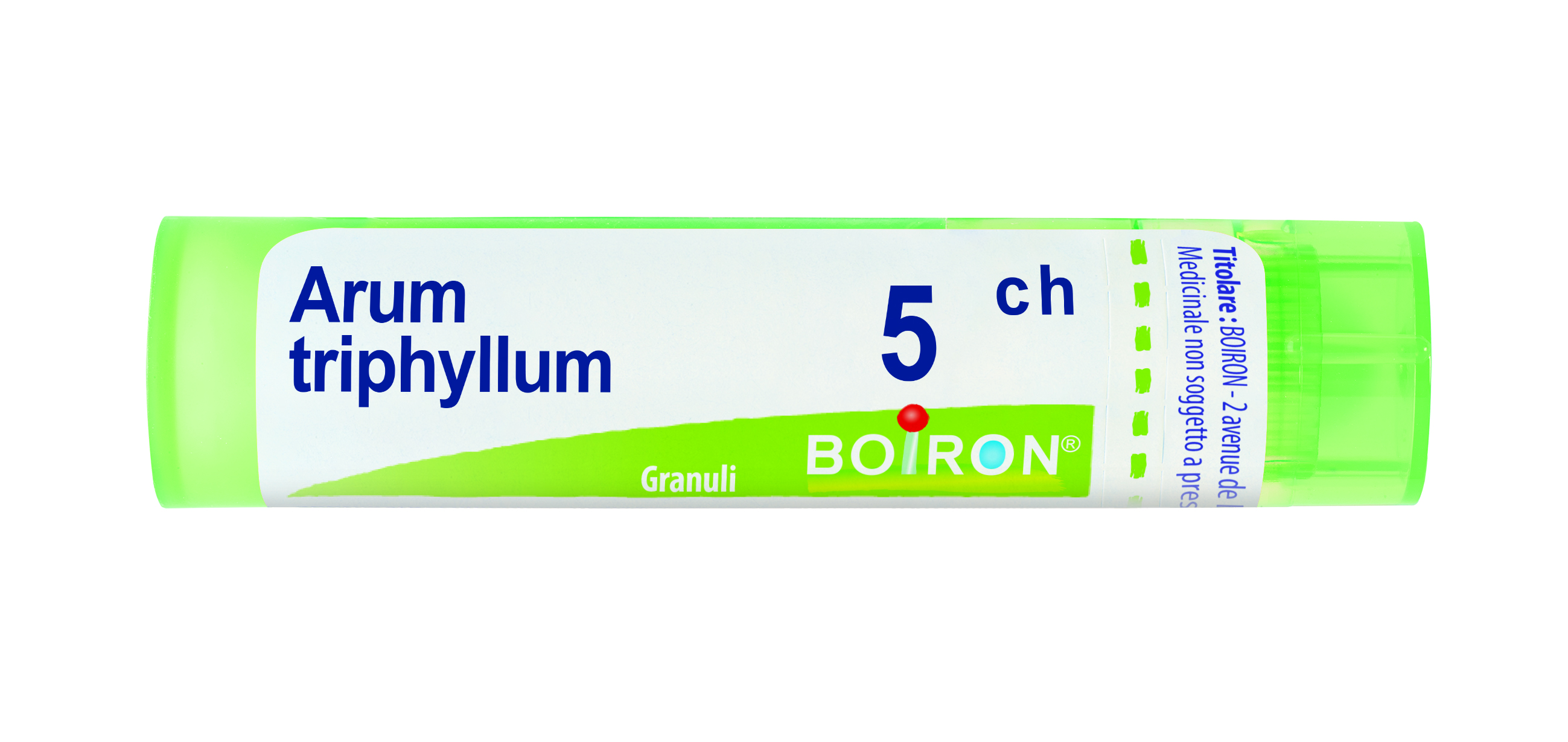 ARUM TRIPHYLLUM*5CH 80GR 4G - pharmaluna