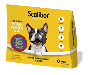 SCALIBOR PROTECTOR BAND*BI48CM - pharmaluna