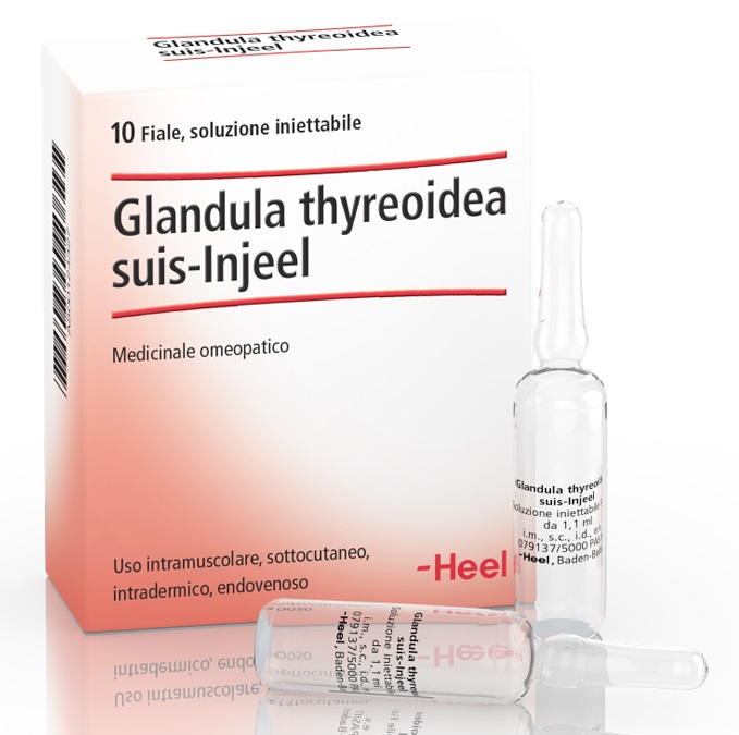 HEEL GLANDULA THYROIDEA SUIS INJEEL 10 FIALE - pharmaluna