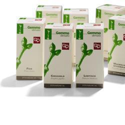 CEDRO LIBANO 50ML MG - pharmaluna