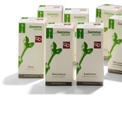 TAMERICE MACERATO GLICERICO 100 ML - pharmaluna