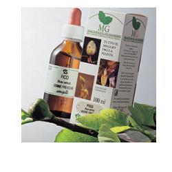 RIBES MACERATO GLICERICO 100 ML - pharmaluna