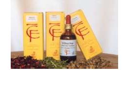 RIBES GEMME 100ML MG - pharmaluna