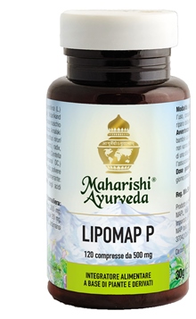 LIPOMAP P 120 COMPRESSE - pharmaluna