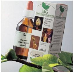 BETULLA 100ML MG - pharmaluna