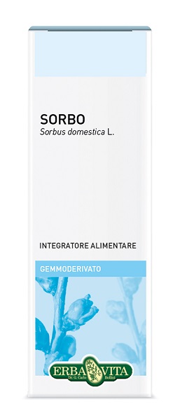GEMMODERIVATO SORBO 50 ML - pharmaluna