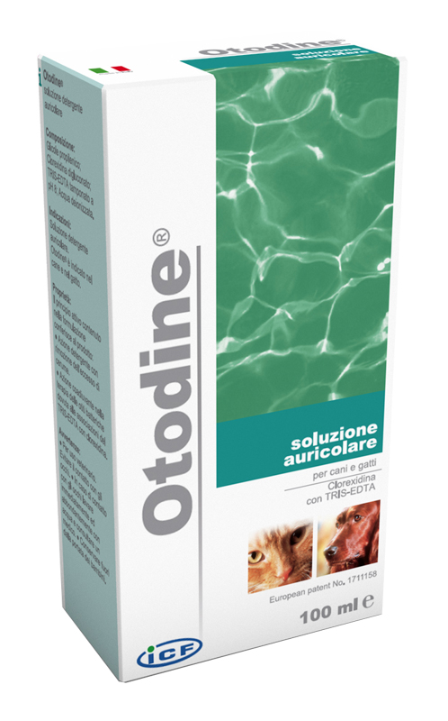 OTODINE DETERGENTE LIQUIDO 100 ML - pharmaluna