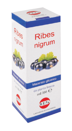 RIBES NIGRUM MG 100 ML GOCCE - pharmaluna