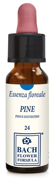 PINE ORIGINAL GOCCE 10 ML - pharmaluna
