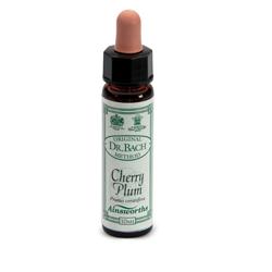 AINSWORTHS CHERRY PLUM 10ML - pharmaluna