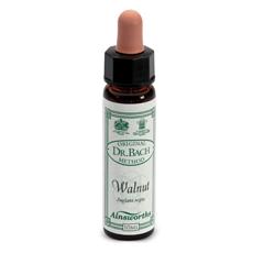 AINSWORTHS WALNUT 10ML - pharmaluna