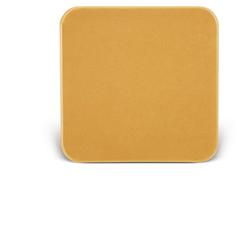 BARRIERA CUTANEA INTERAMENTE IN STOMAHESIVE PER LA PROTEZIONE DELL'AREA PERISTOMALE PLACCA STOMAHESIVE 10X10CM 5 PEZZI - pharmaluna