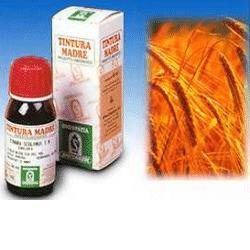 AVENA SATIVA 3 50ML TM - pharmaluna