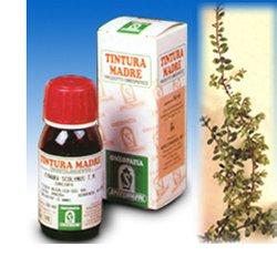UVA URSINA 30 50ML TM - pharmaluna