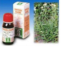 ACHILLEA 51 50ML TM - pharmaluna