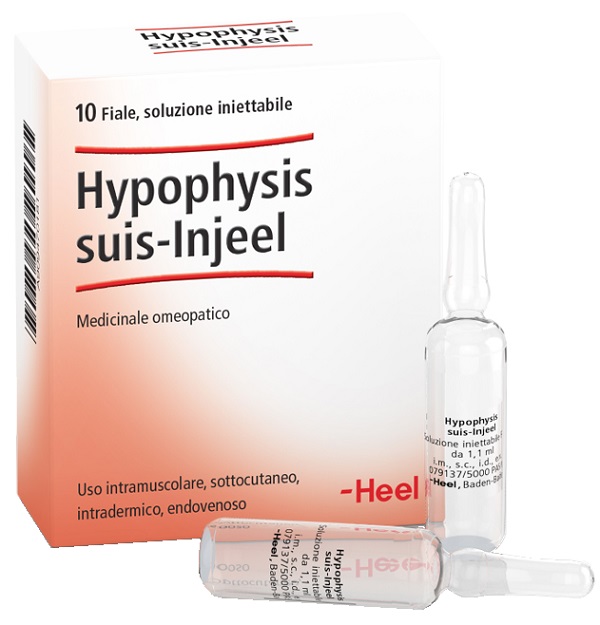 HEEL HYPOPHYSIS SUIS INJEEL 10 FIALE - pharmaluna