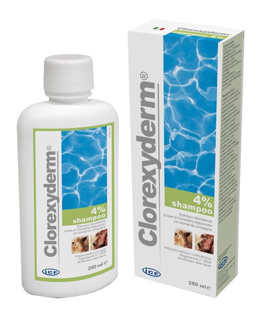 CLOREXYDERM SH 4% 250ML - pharmaluna