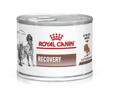 VETERINARY DIET WET DOG & CAT RECOVERY 195 G - pharmaluna