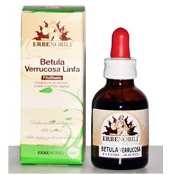 FITOBLASTO BETULLA VERRUCOSA LINFA 50 ML - pharmaluna