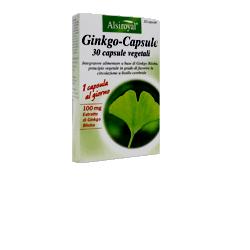 GINKGO CAPSULE 30 CAPSULE - pharmaluna