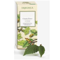 BETULA VERRUCOSA LINFA GEMMODERIVATO BIO 50 ML - pharmaluna