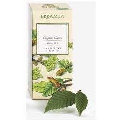 RIBES NIGRUM GEMME GEMMODERIVATO - pharmaluna