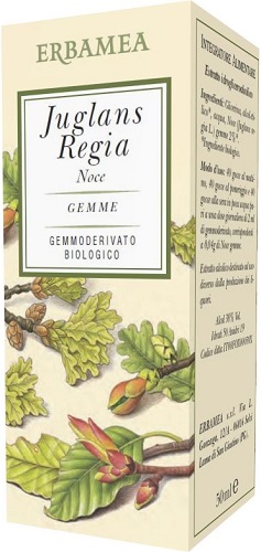 JUGLANS REGIA NOCE BIO 50 ML - pharmaluna