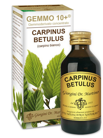 GEMMO 10+ CARPINO BIANCO 100 ML LIQUIDO ANALCOLICO - pharmaluna