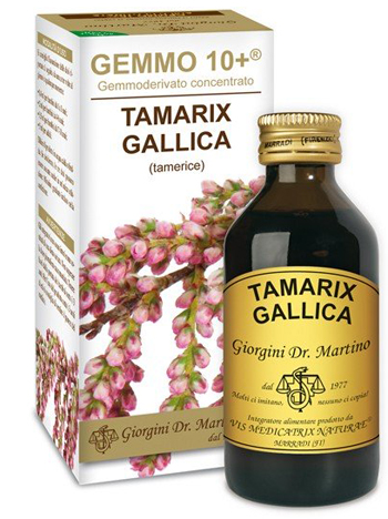 GEMMO 10+ TAMERICE 100 ML LIQUIDO ANALCOLICO - pharmaluna
