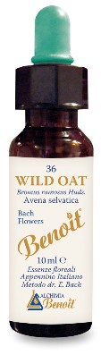 FIORI DI BACH BENOIT WILD OAT 10 ML - pharmaluna
