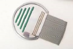 PETTINE ACCIAIO PER RIMOZIONE PIDOCCHI - pharmaluna