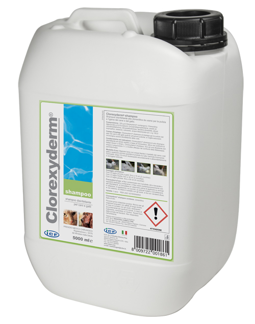 CLOREXYDERM SHAMPOO 5 LITRI - pharmaluna