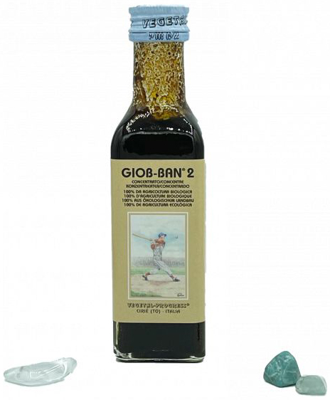 GIOB BAN 2 ART ESTRATTO CONCENTRATO BIOLOGICO 100 ML - pharmaluna