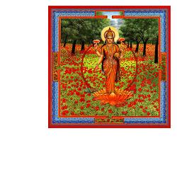 NEESHA-MA GOCCE 30 ML - pharmaluna
