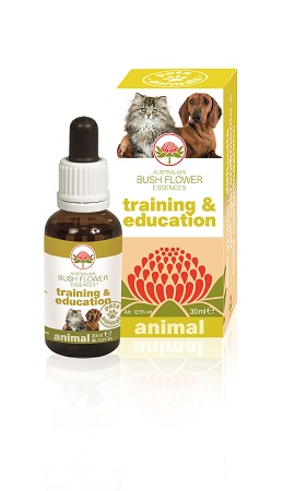 TRAINING & EDUCATION 30 ML - pharmaluna