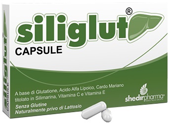 SILIGLUT 20 CAPSULE - pharmaluna