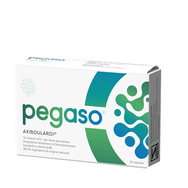 PEGASO AXIBOULARDI 14 CAPSULE - pharmaluna