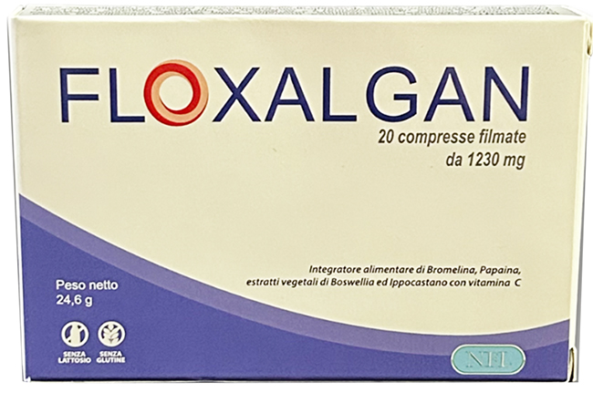 FLOXALGAN 20 COMPRESSE RIVESTITE DA 1,02 G - pharmaluna
