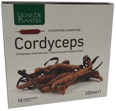 CORDYCEPS 15 AMPOLLE BEVIBILI DA 15 ML - pharmaluna