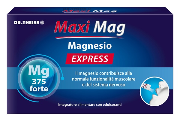 DR THEISS MAXI MAG EXPRESS 14 STICK - pharmaluna