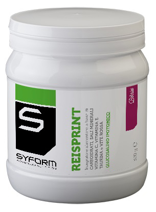 REISPRINT BERRIES 500 G - pharmaluna