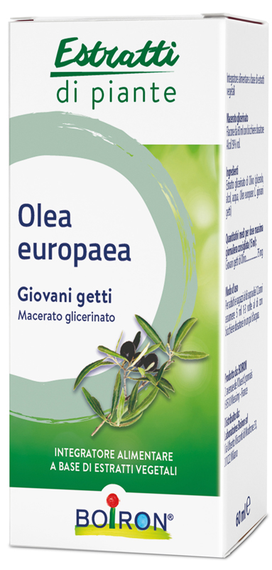 OLEA EUROPAEA BOIRON MACERATO GLICERICO 60 ML - pharmaluna