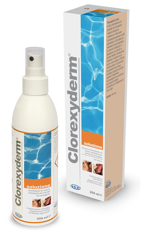 CLOREXYDERM SOLUZIONE 200 ML - pharmaluna
