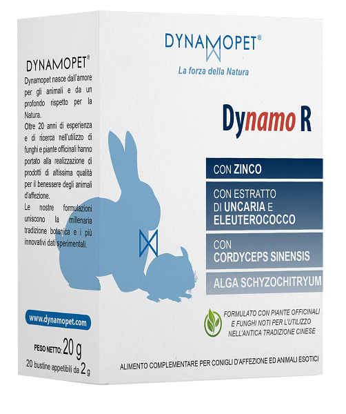 DYNAMO R 20 BUSTINE DA 2 G - pharmaluna