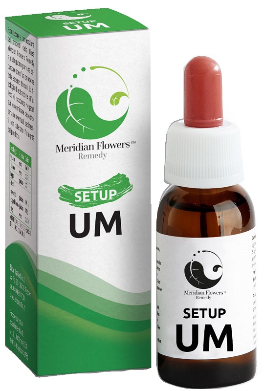 SETUP UM 10 ML MERIDIAN FLOWERS REMEDY - pharmaluna