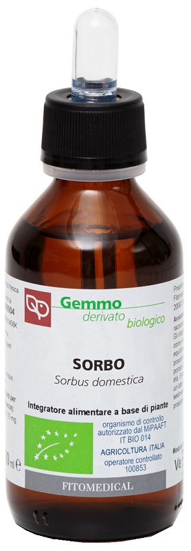 SORBO MACERATO GLICERICO 100 ML BIO - pharmaluna