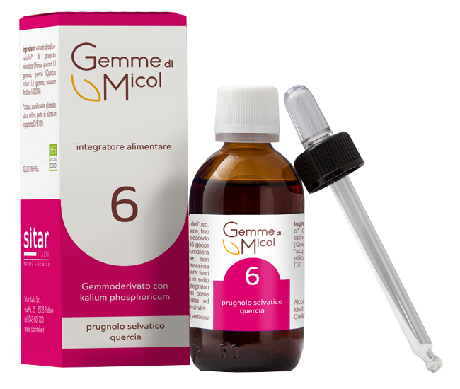 GEMME DI MICOL SOLUZIONE IDROGLICERALCOLICA 6 30 ML - pharmaluna