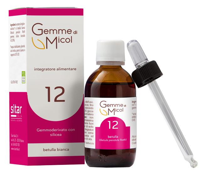 GEMME DI MICOL SOLUZIONE IDROGLICERALCOLICA 12 30 ML - pharmaluna